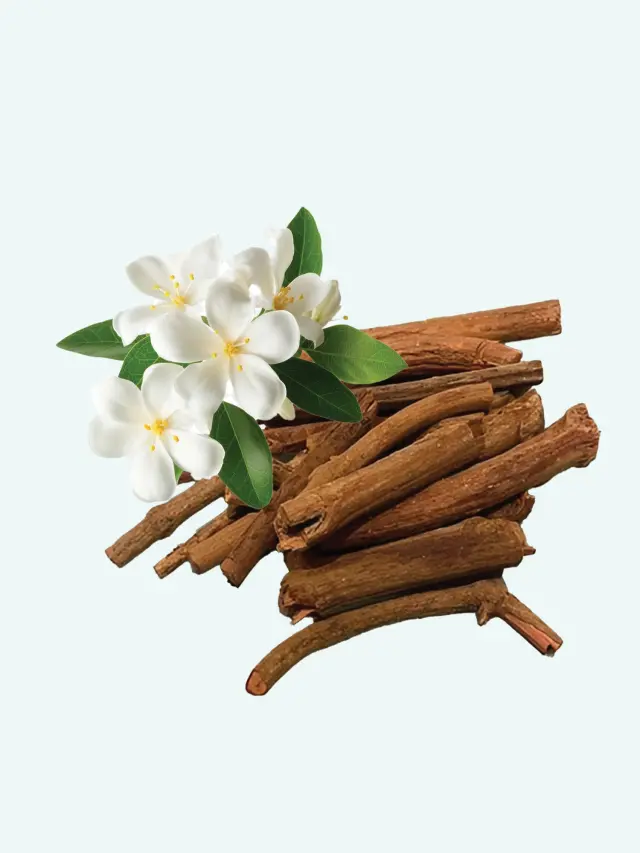 Jati (Jasmine) & Manjishta