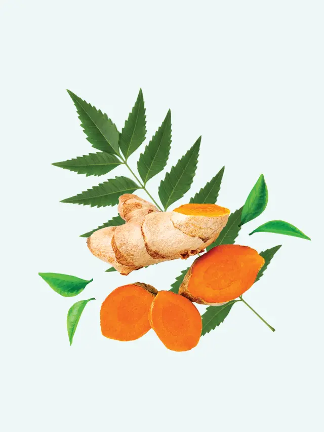 Garcinia Cambogia (60% HCA)
